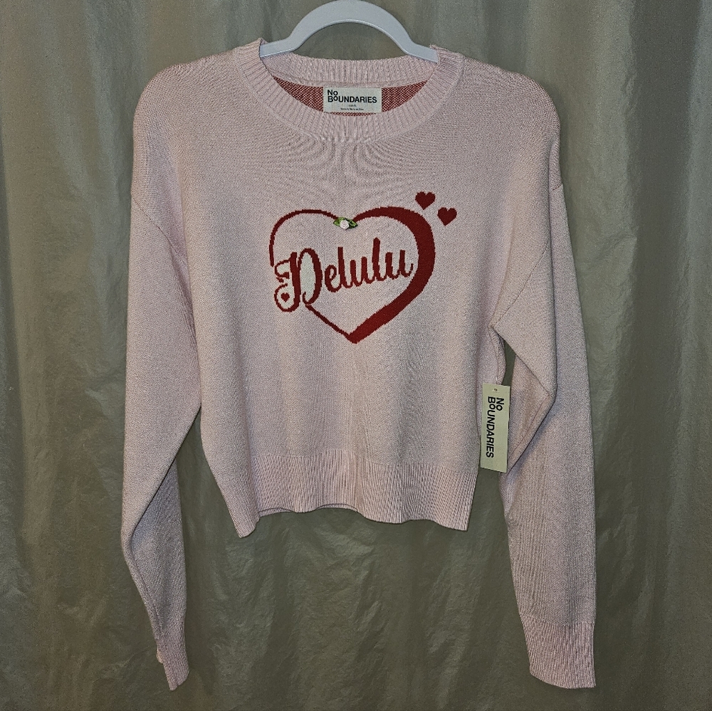NWT S DELULU V-Day Baby Pink Sweater